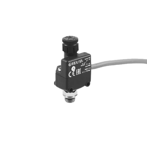 Реле давления BS1PR-110-1/4 Pemaks